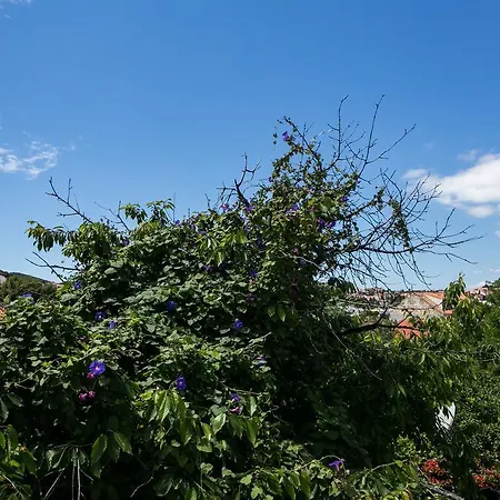 Apartamento Tranquilo