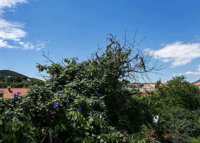 Apartament Tranquilo